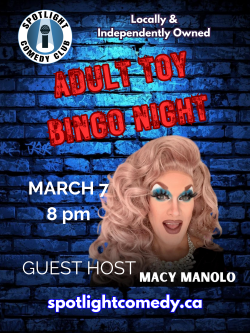 Adult Toy Bingo